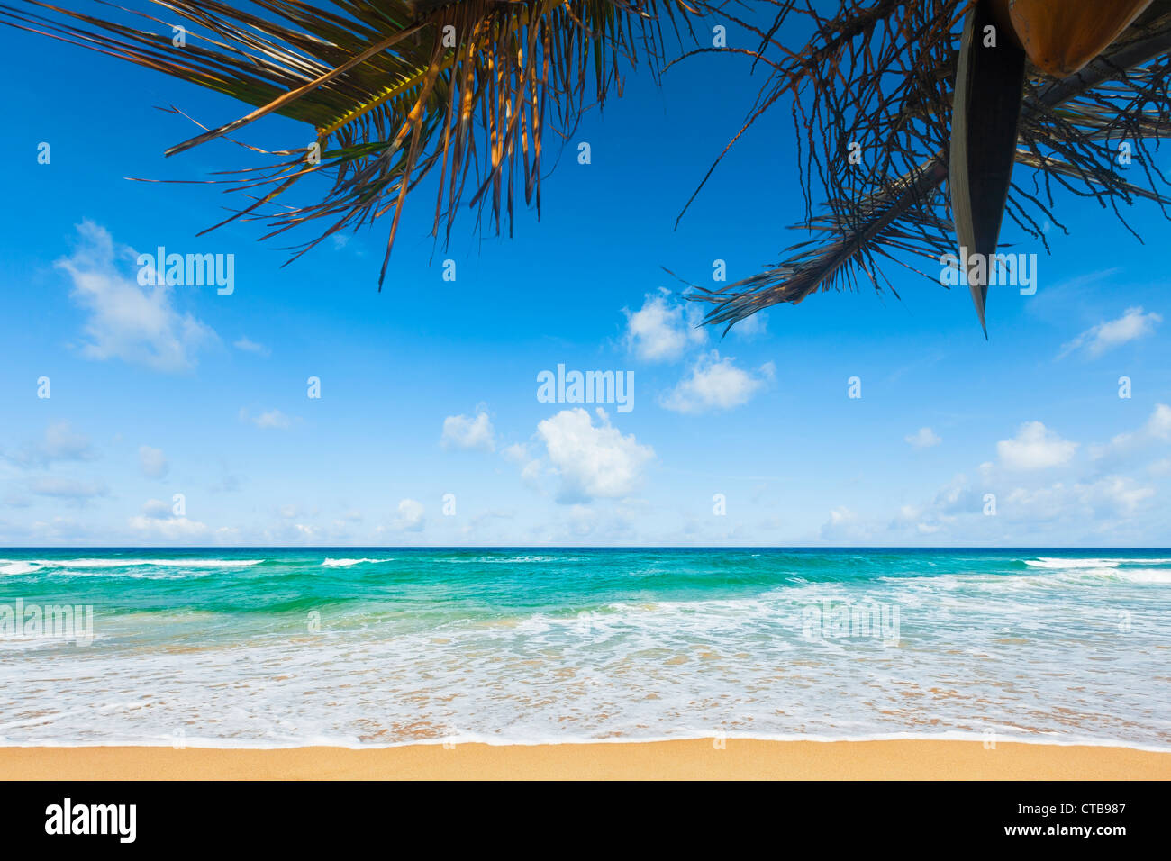 Tropischer Strand im sonnigen Tag Stockfoto