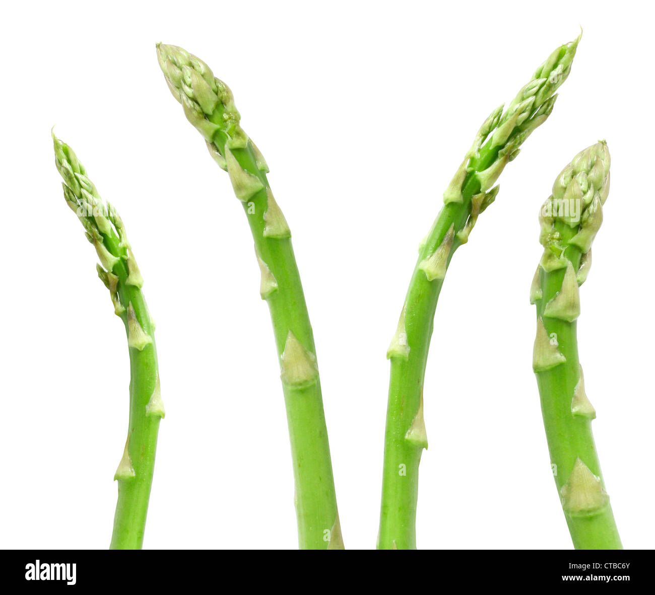 Leckeren Spargel isoliert auf weiss Stockfoto