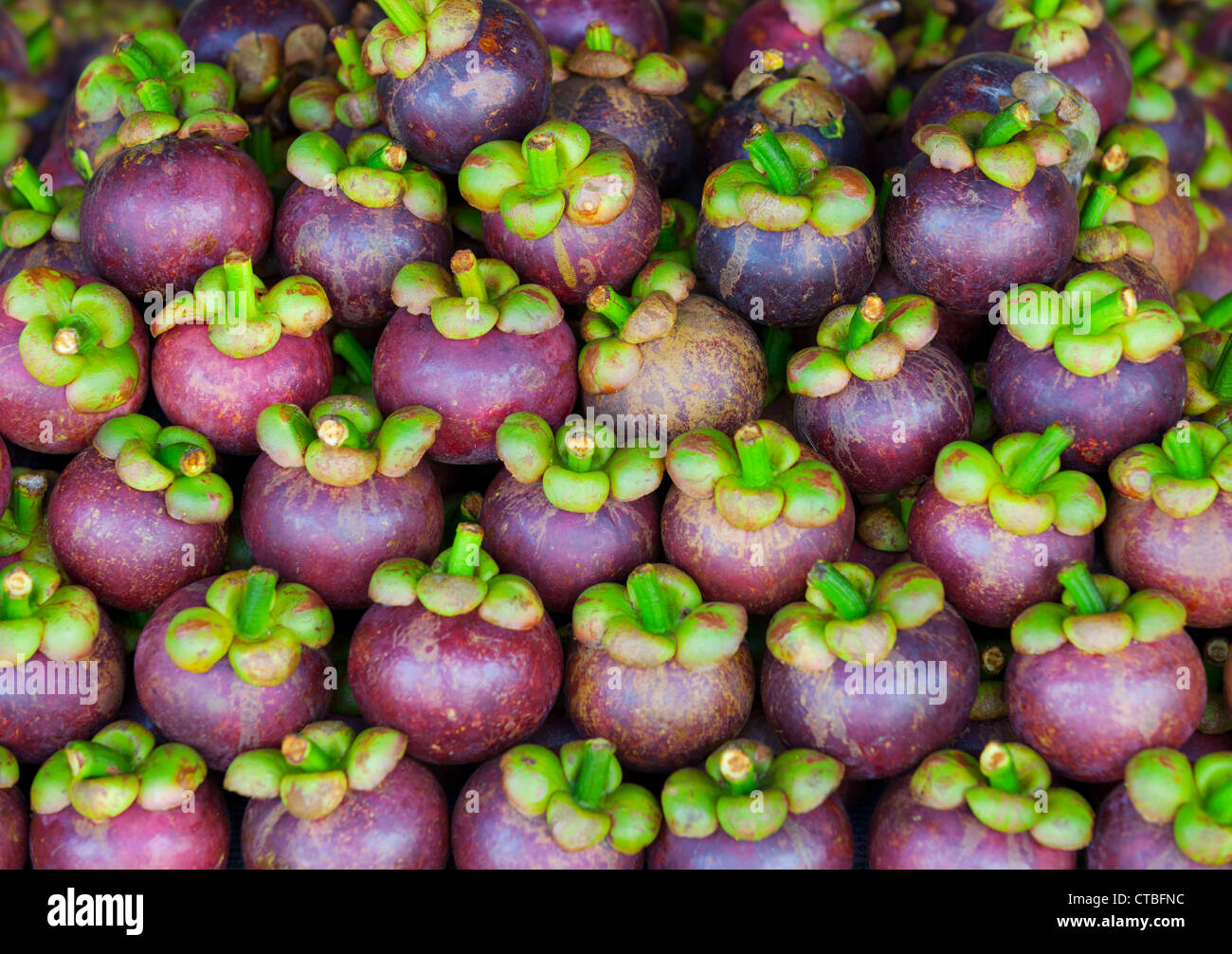 Mangostan-Frucht auf den Tresen des osteuropäischen Marktes Stockfoto