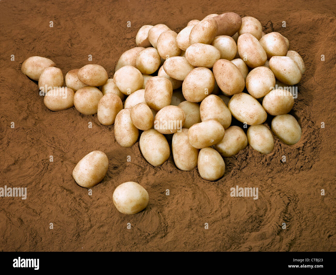 Marzipan Kartoffeln Stockfoto