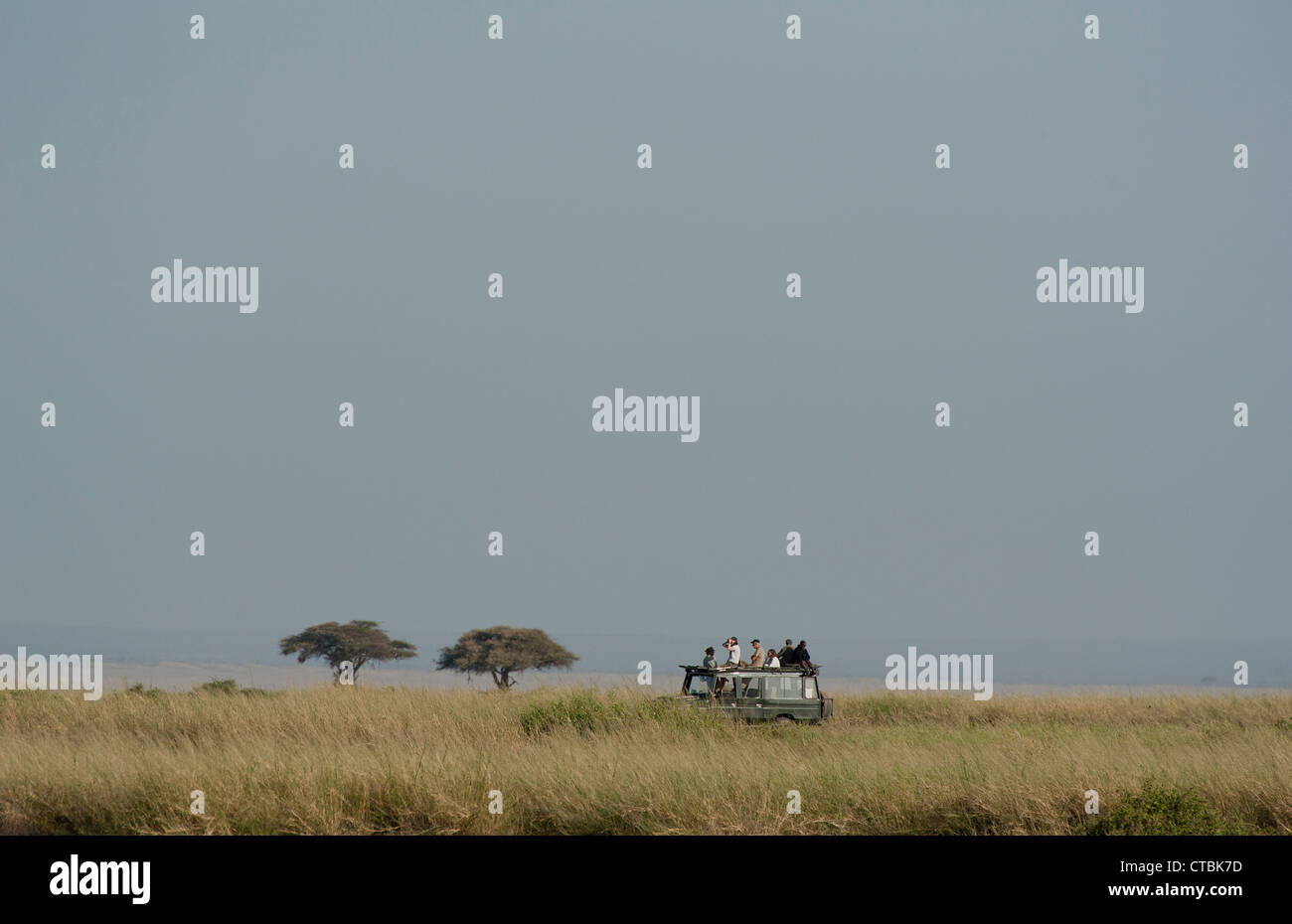Auf Safari im Amboseli Stockfoto