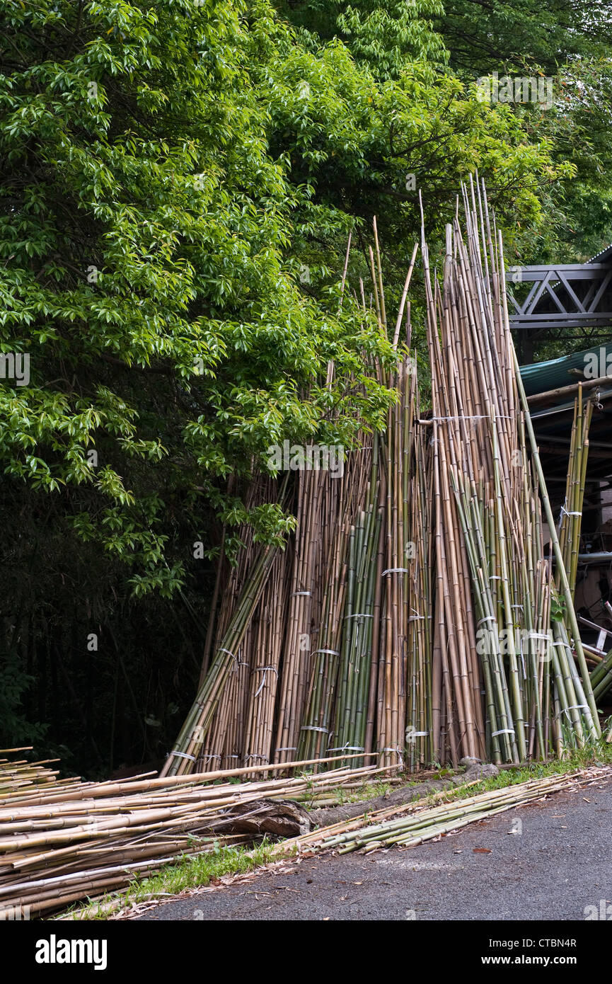 Gefälte Bambusstämme in einem Holzhof in der Nähe des berühmten Sagano Bambushains in Arashiyama, Kyoto, Japan Stockfoto