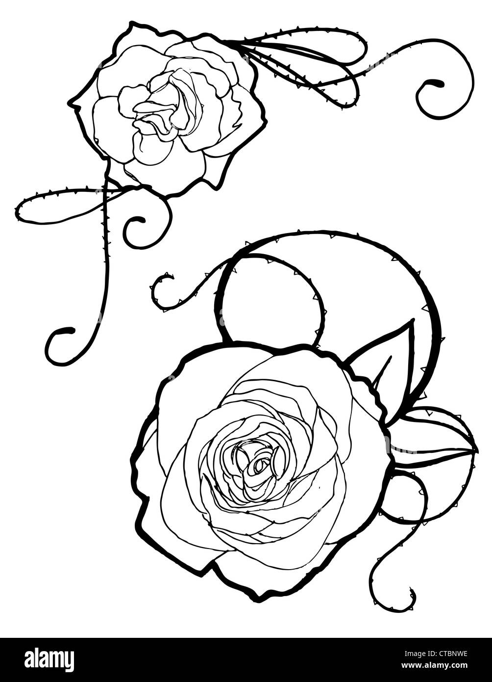 Vereinfachte handgezeichnete Rosen. Stockfoto