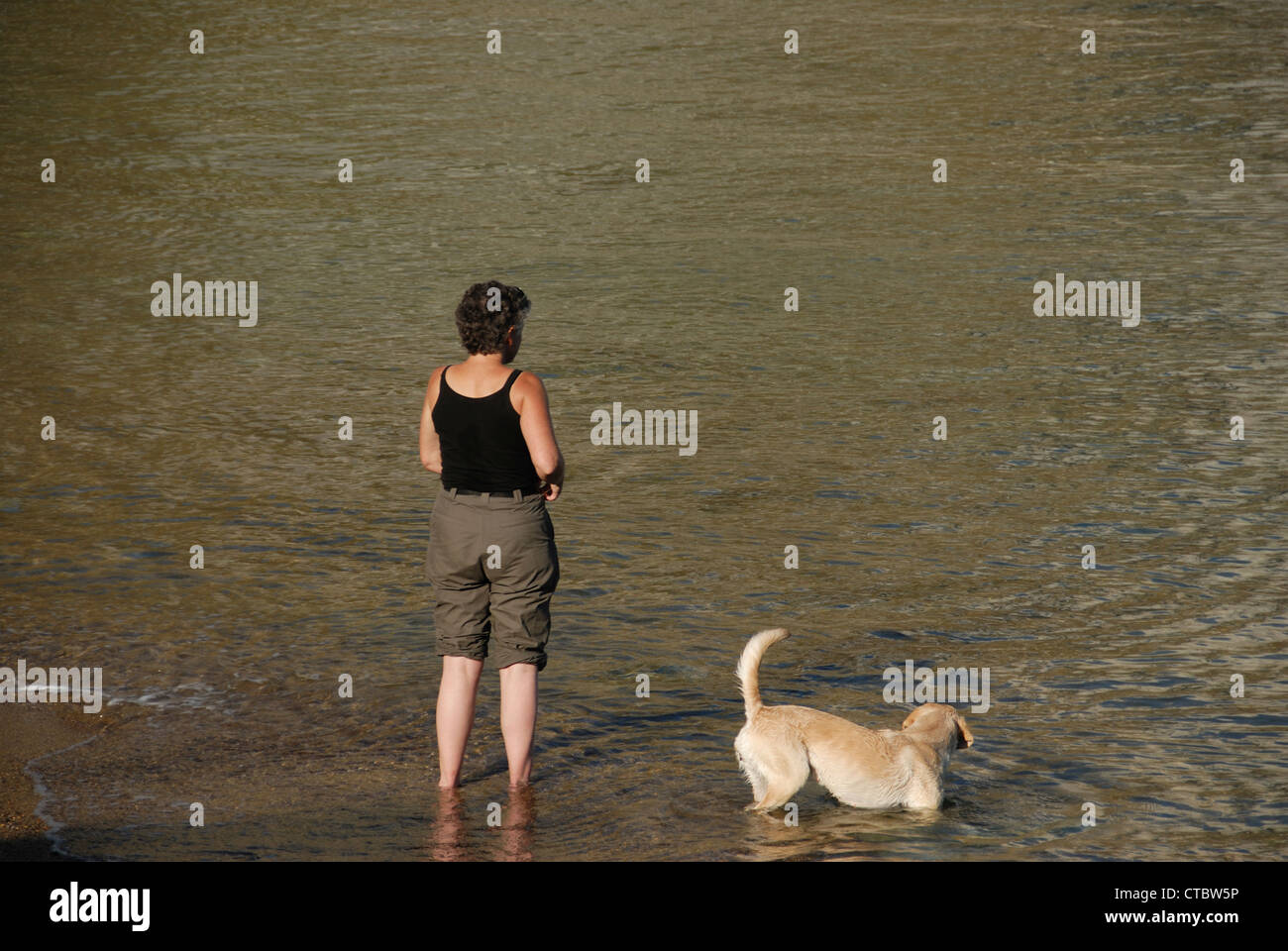 Eine Frau, Paddeln im Meer mit ihrem Hund UK Stockfoto