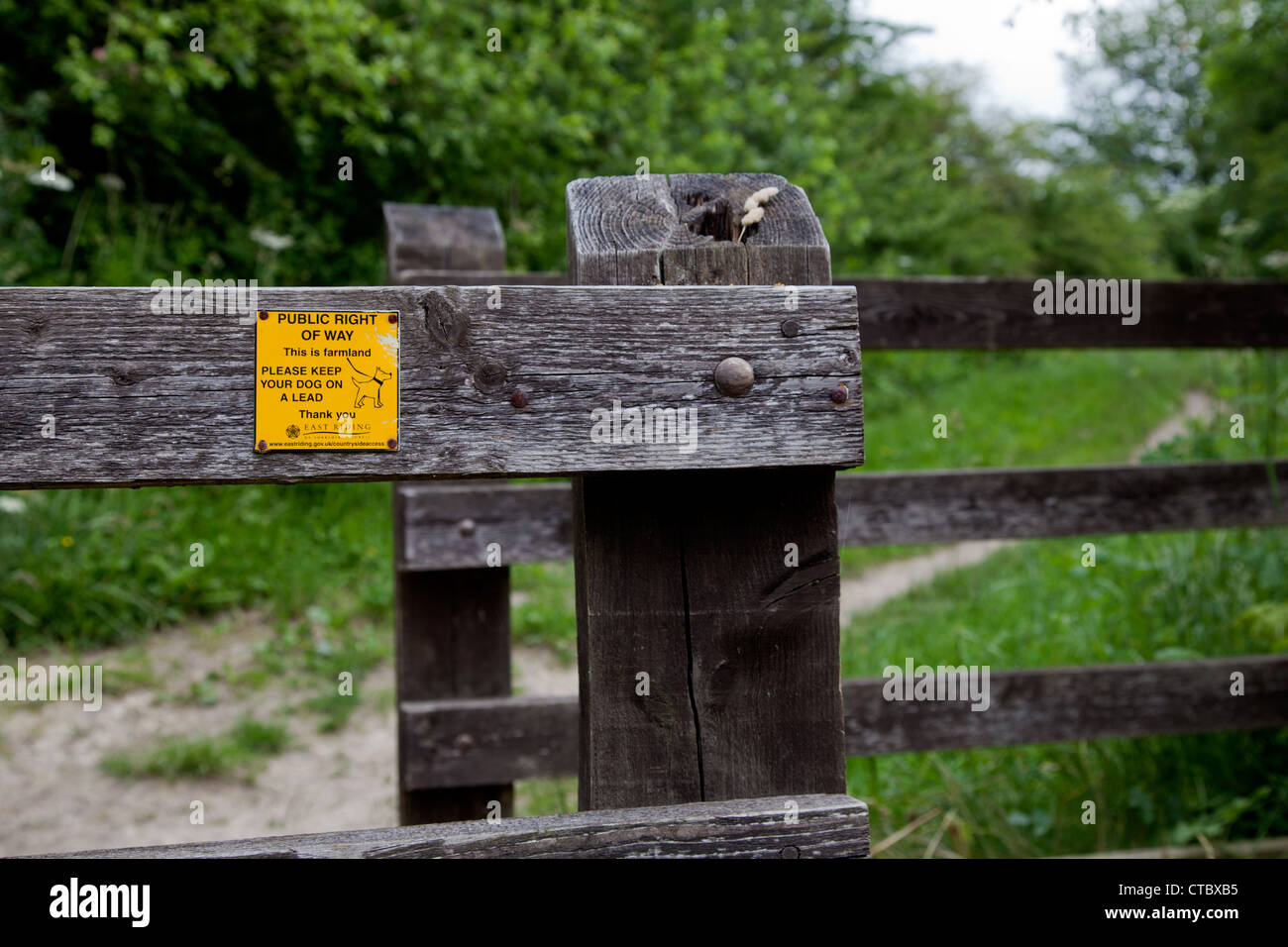 Hund an einer Leine führen Zeichen halten Stockfoto