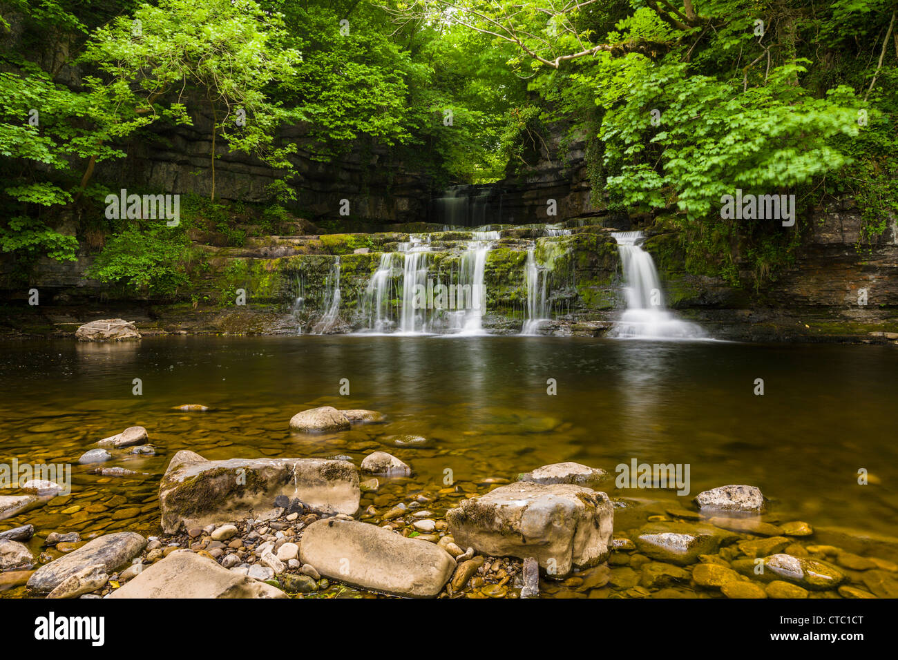 Wasserfall, Wensleydale, Yorkshire Dales, England Stockfoto