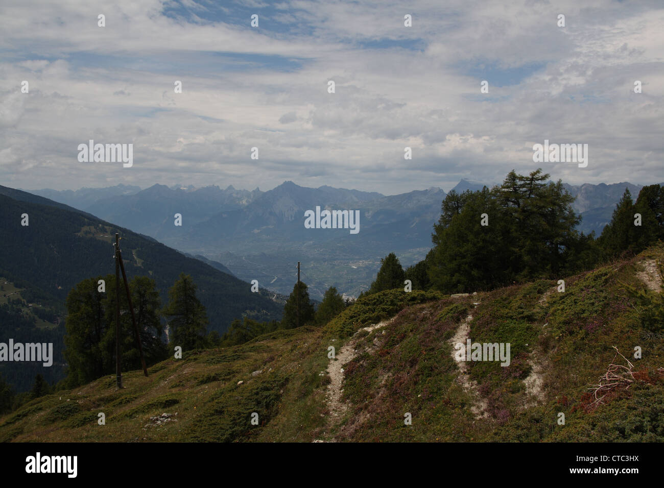 Kuh-Weg über Chandolin Stockfoto