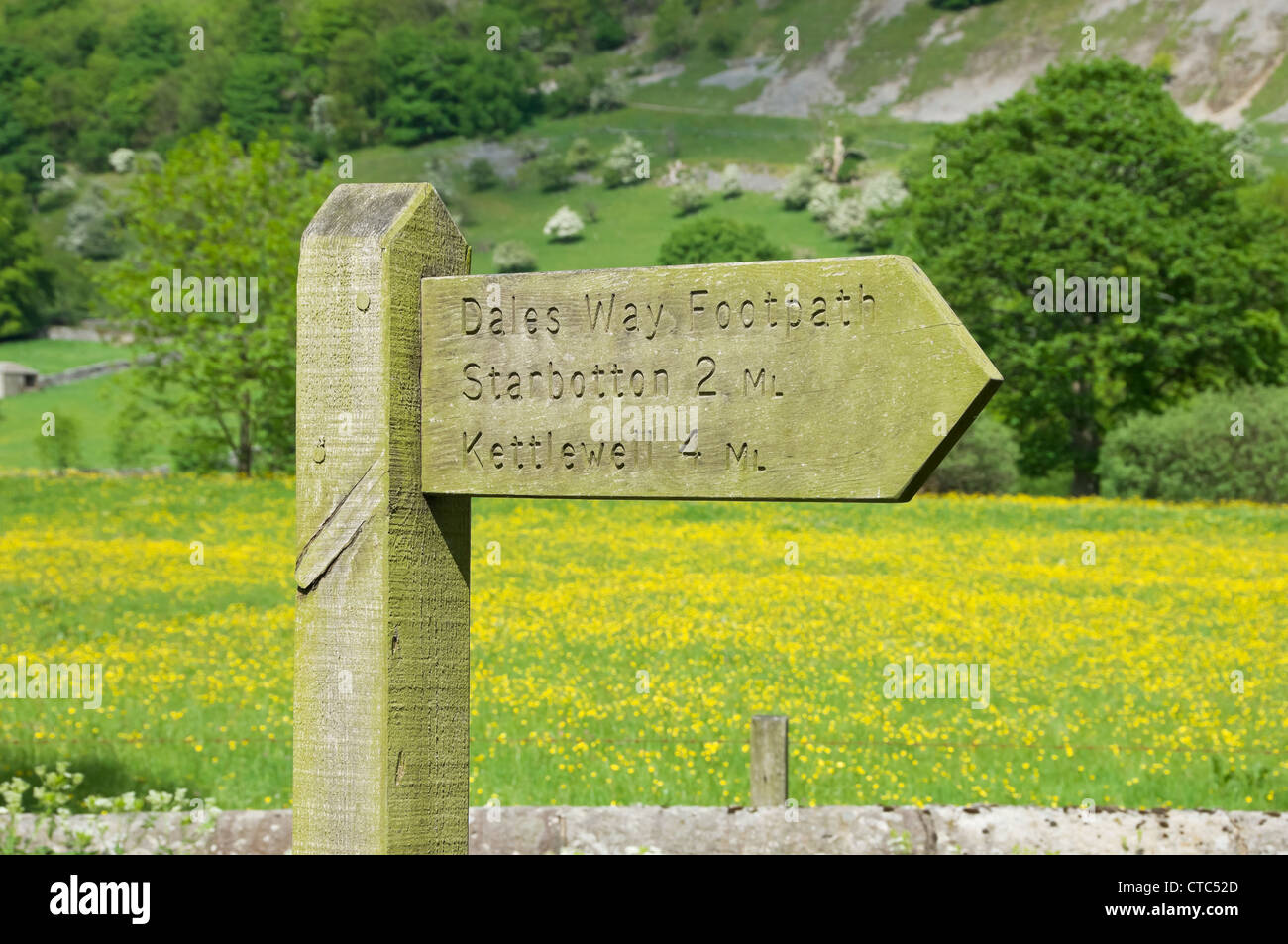 Nahaufnahme von Dales Way Dalesway Public Footpath Schild Wegweiser Walk im Sommer in der Nähe von Buckden Upper Wharfedale North Yorkshire England Vereinigtes Königreich Stockfoto
