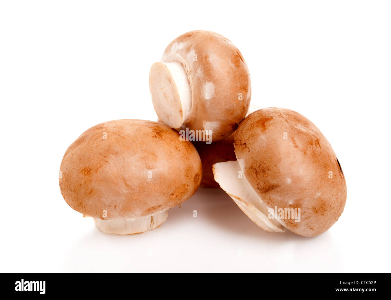 frische Pilze Champignon isoliert auf weißem Hintergrund Stockfoto