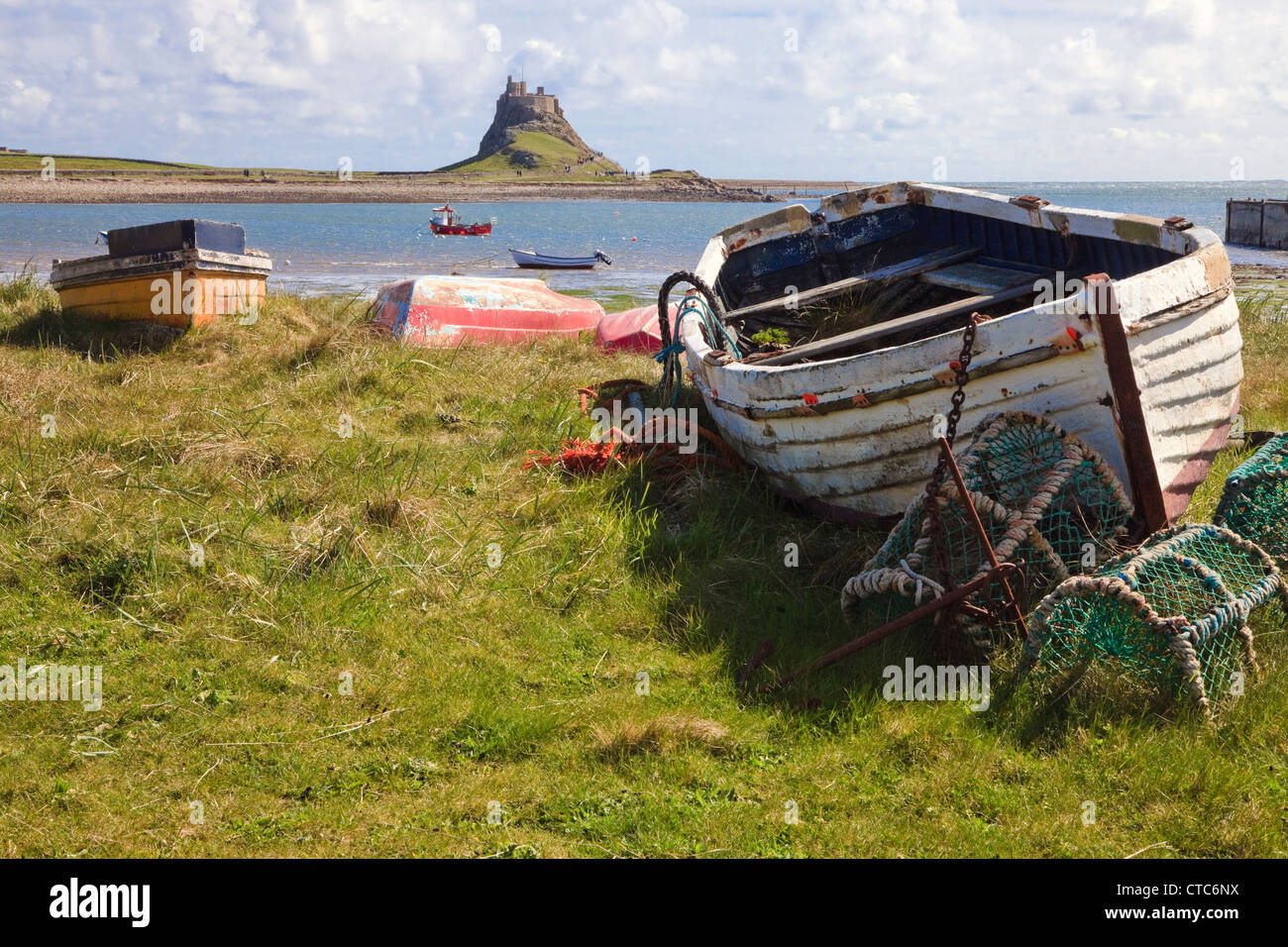 Lindisfarne Schloß, Northumberland, England, Vereinigtes Königreich, Großbritannien Stockfoto