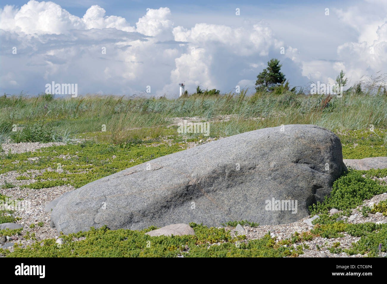 Matsi Strand. Landschaft in Pärnu Grafschaft, Estland Baltikum EU Stockfoto