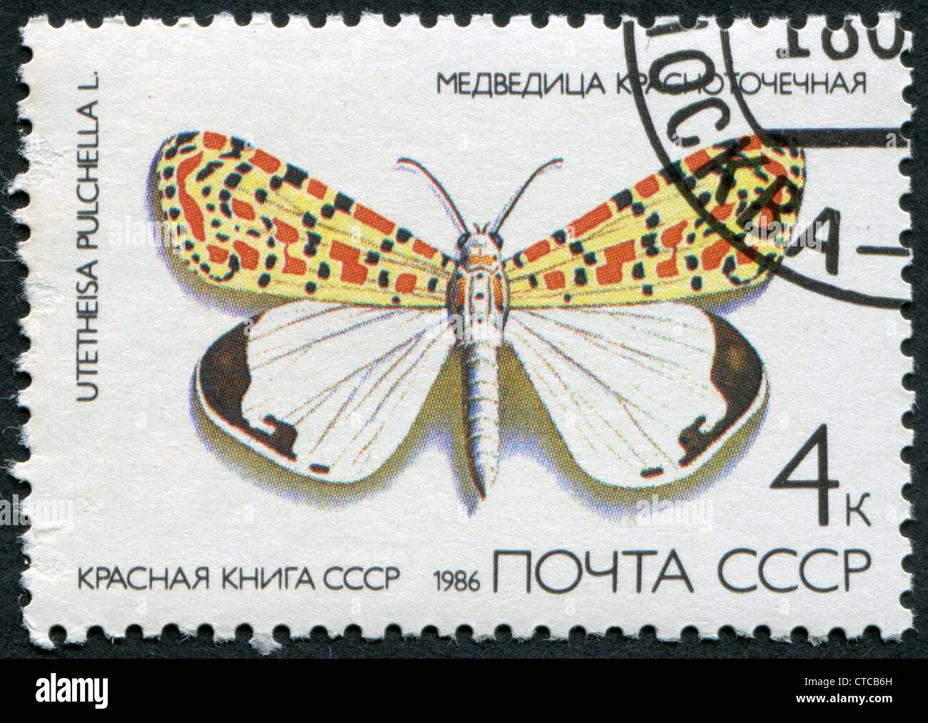 USSR-CIRCA 1986: eine Briefmarke gedruckt in der UdSSR, zeigt einen Schmetterling Purpur gesprenkelt Flunkey (Utetheisa Pulchella), ca. 1986 Stockfoto