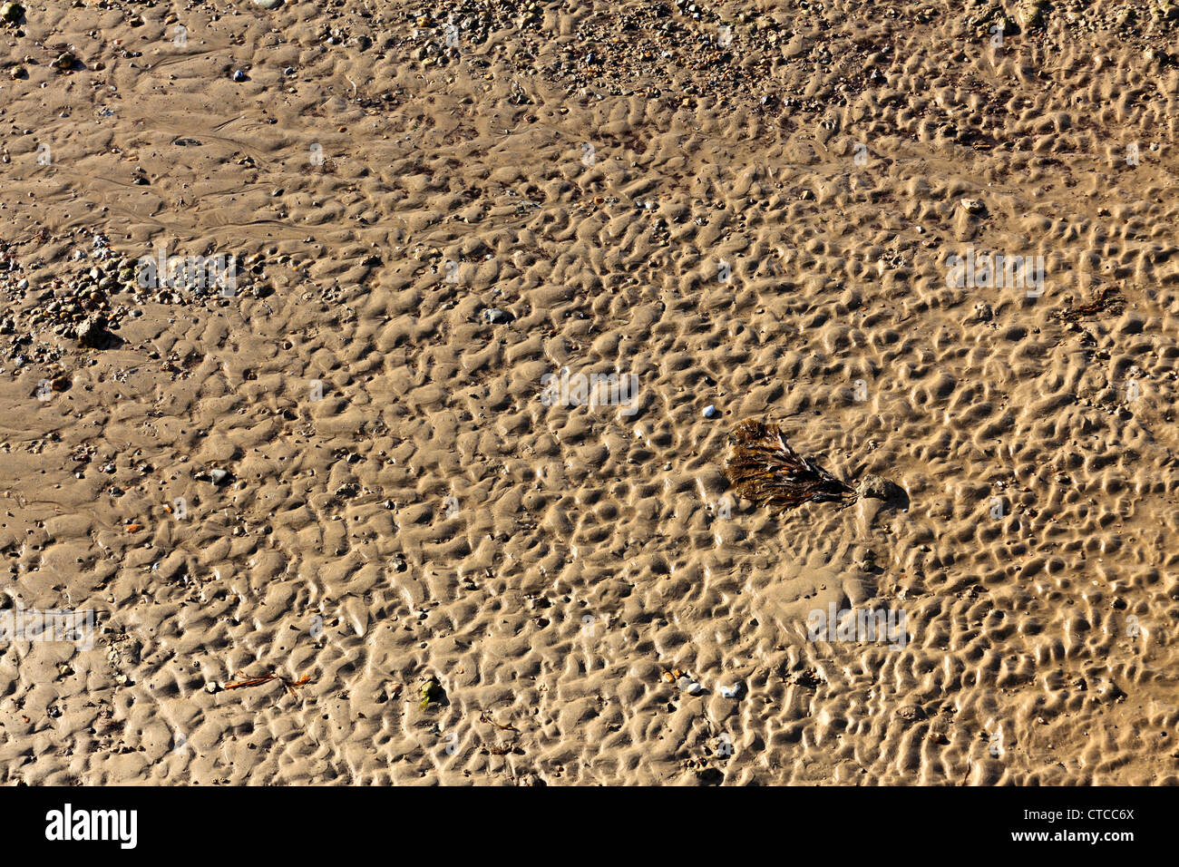 4083. Sand Muster bei Ebbe, Bembridge, Isle Of Wight, Großbritannien Stockfoto
