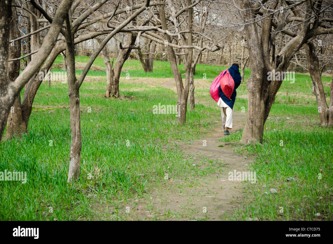 Swat-Tal, Pakistan Stockfoto