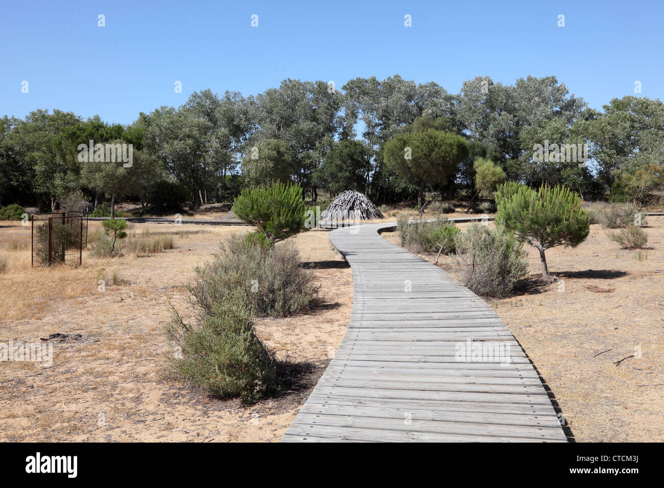 Holzsteg in den Nationalpark Doñana, Andalusien Spanien Stockfoto