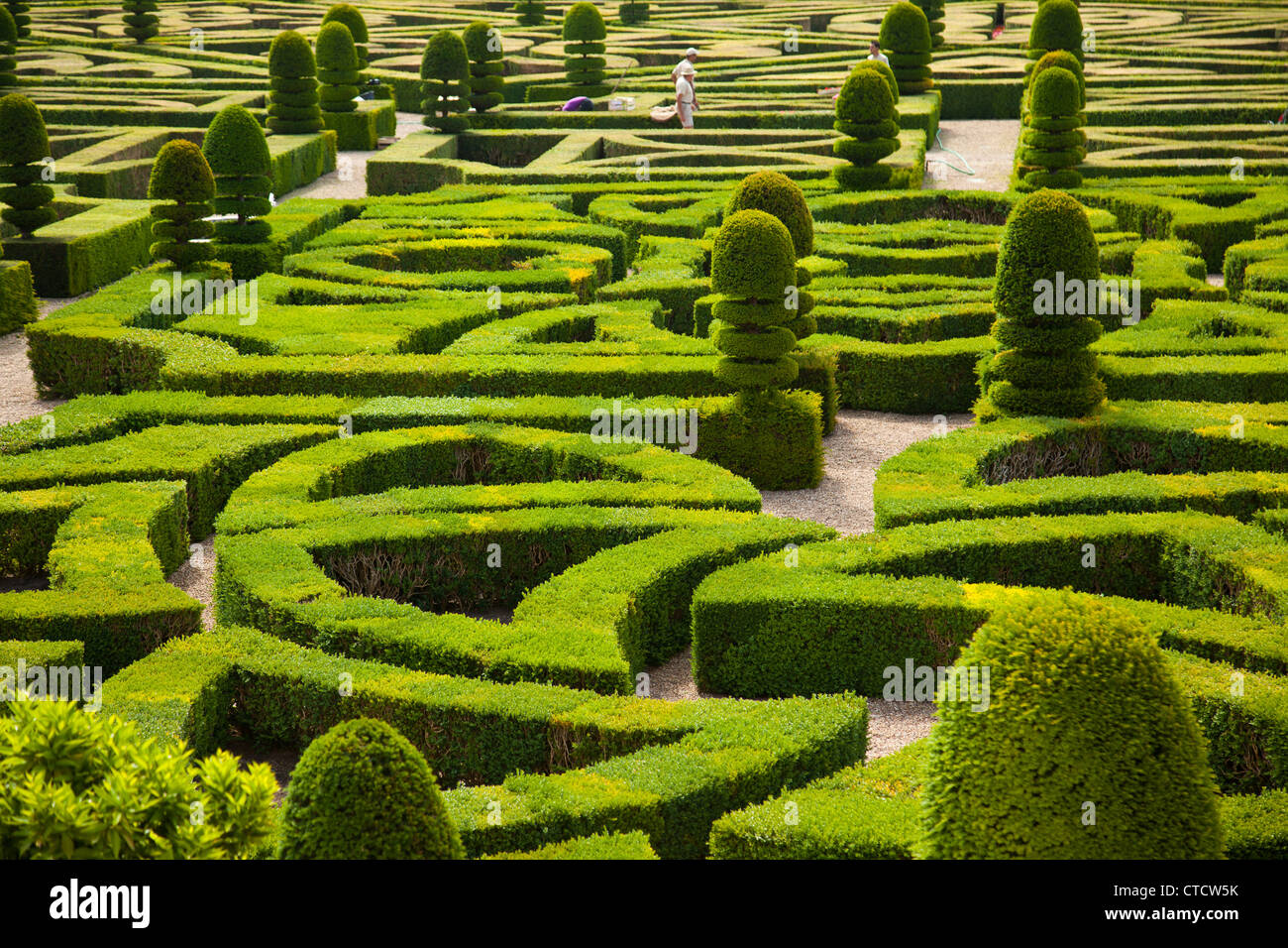 Die Ziergärten des Chateau Villandry in französischen Loire-Tal. Stockfoto