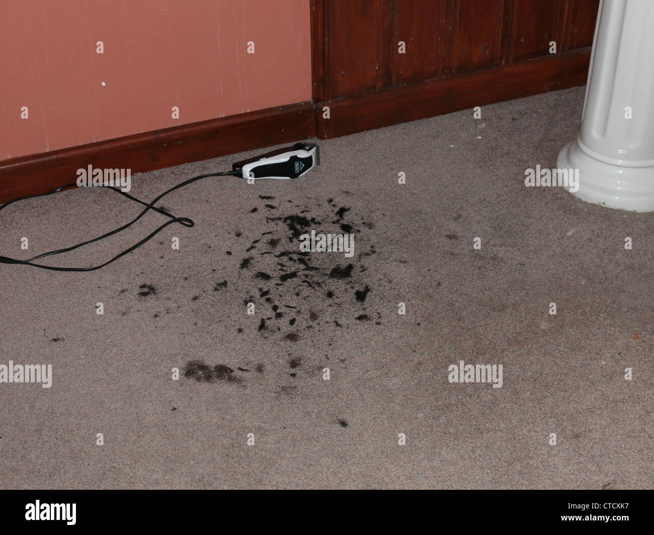 Haare und elektrischen Haarschneidemaschinen auf dem Teppich im Badezimmer Stockfoto