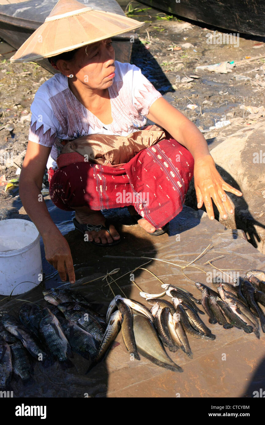 Burmesische Frau verkaufen Fisch in einem Markt, Inle-See, Shan-Staat, Myanmar, Südostasien Stockfoto