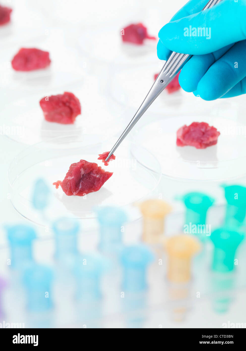 Nahrung-Forschung-Konzeptbild Stockfoto