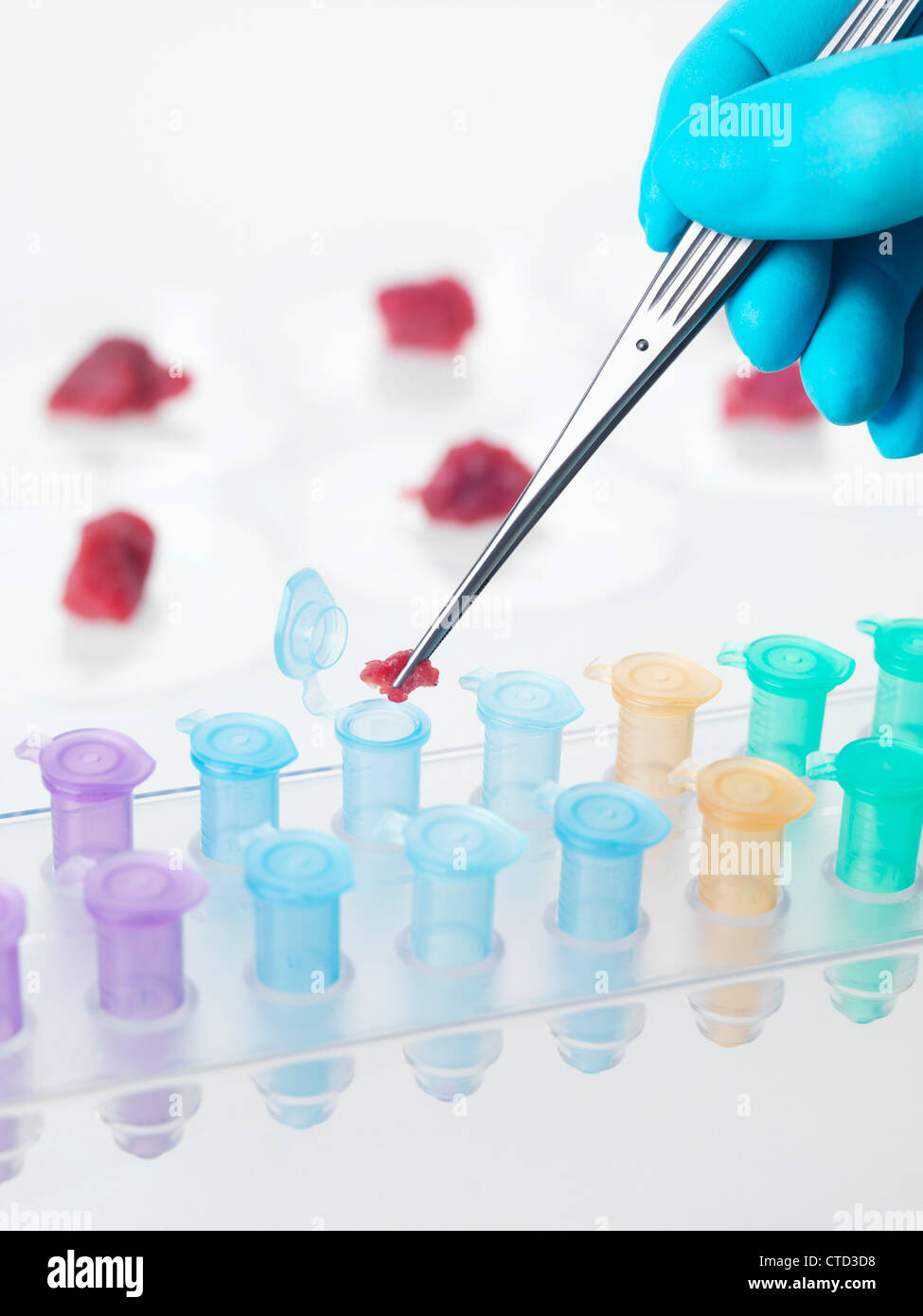 Nahrung-Forschung-Konzeptbild Stockfoto