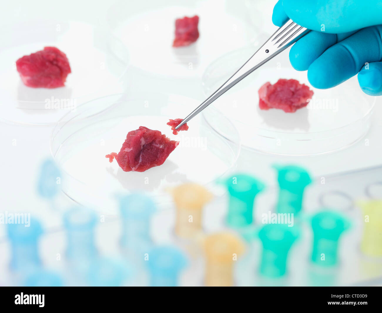 Nahrung-Forschung-Konzeptbild Stockfoto