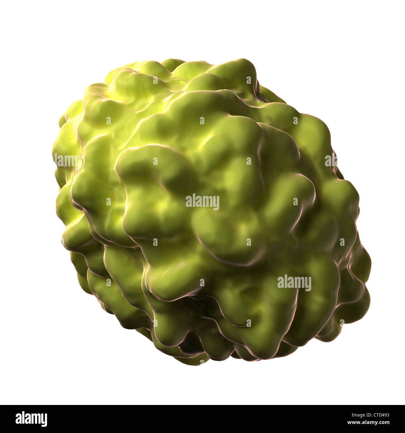 Pocken-Virus-Partikel Stockfoto