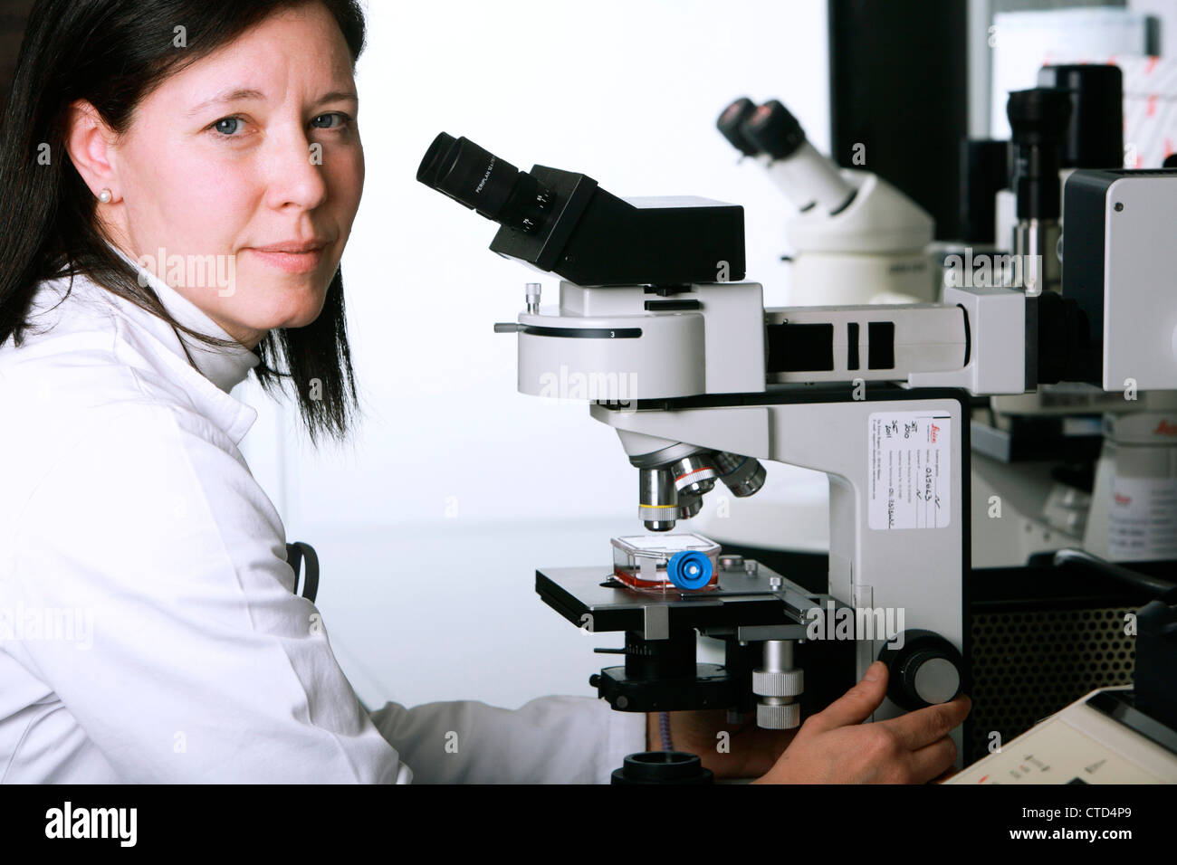 Biologische Forschung Stockfoto