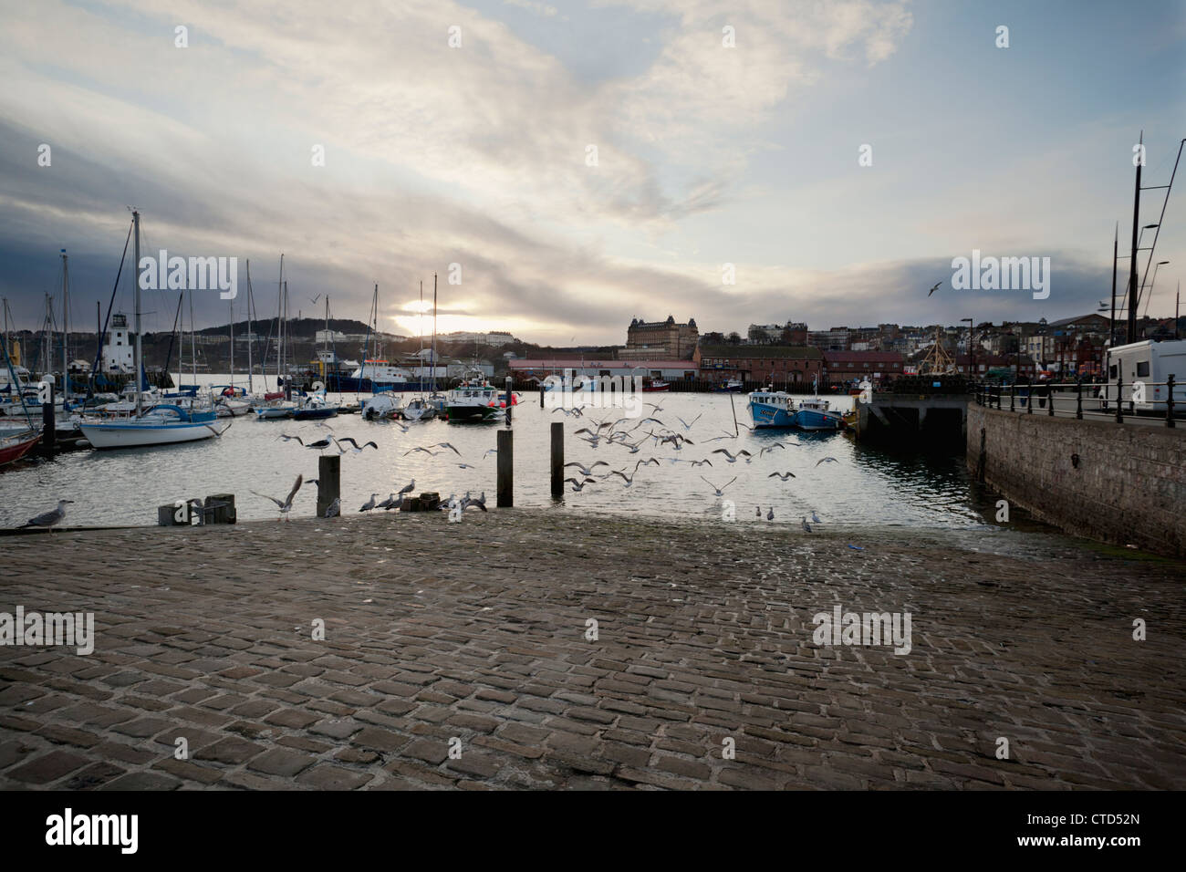 Hafen von Scarborough Stockfoto