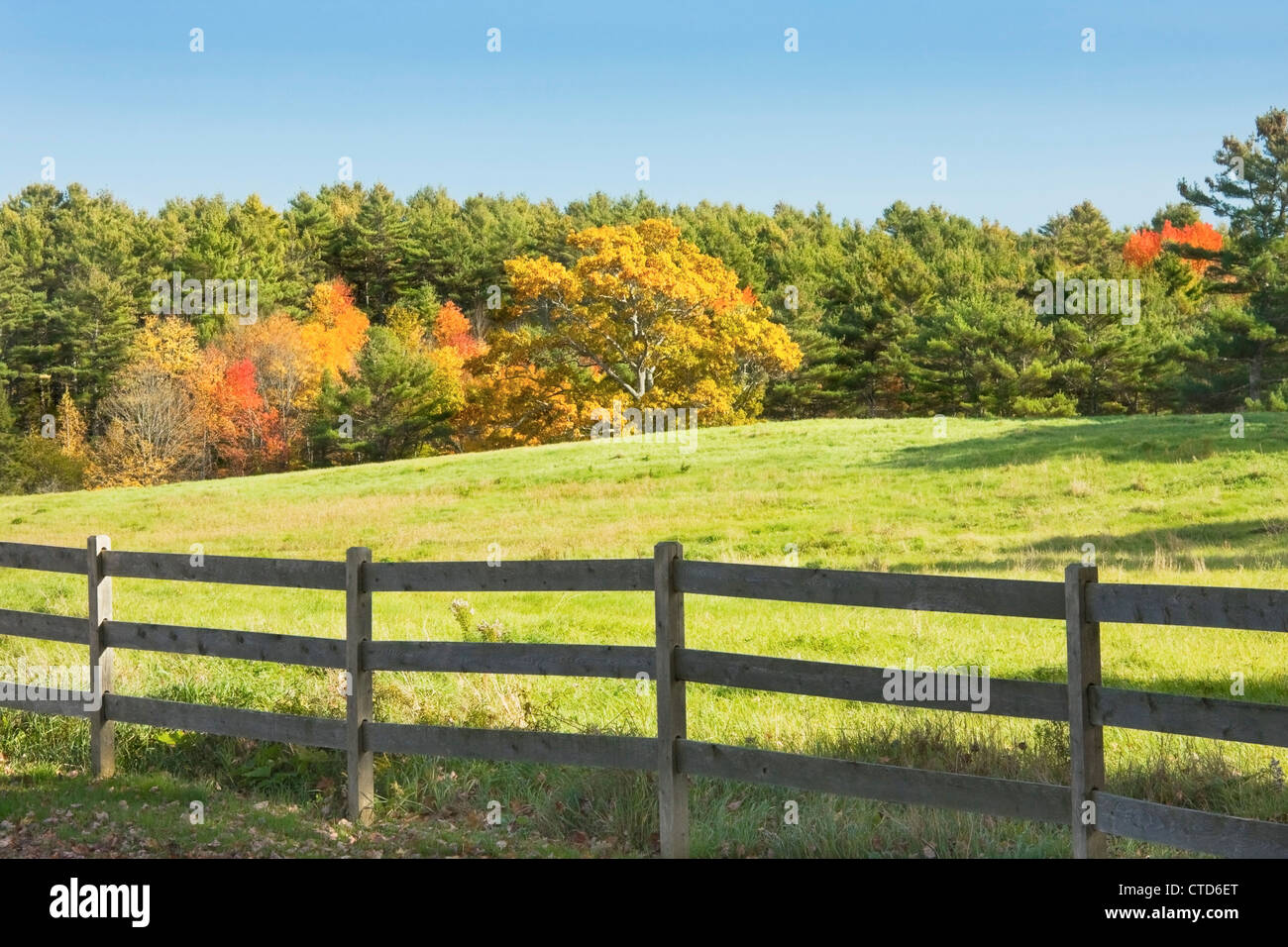 Rustikaler Zaun rund um Herbst Ackerland in Maine. Stockfoto