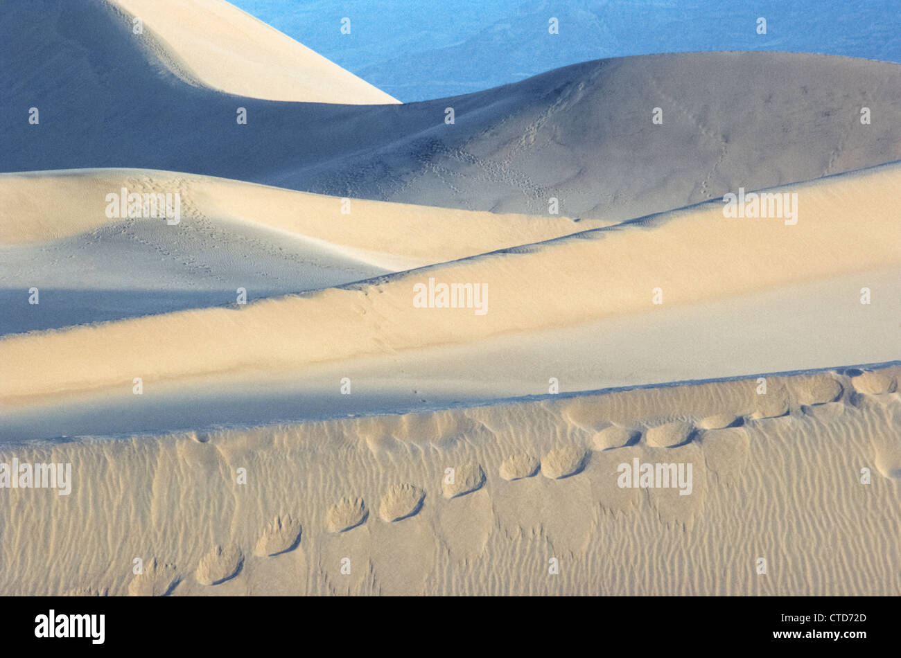 Die Winde und menschliche Fußabdrücke erstellen abstrakte Muster in diesen Sanddünen bei Stovepipe Wells in Death Valley Nationalpark, Kalifornien, USA. Stockfoto