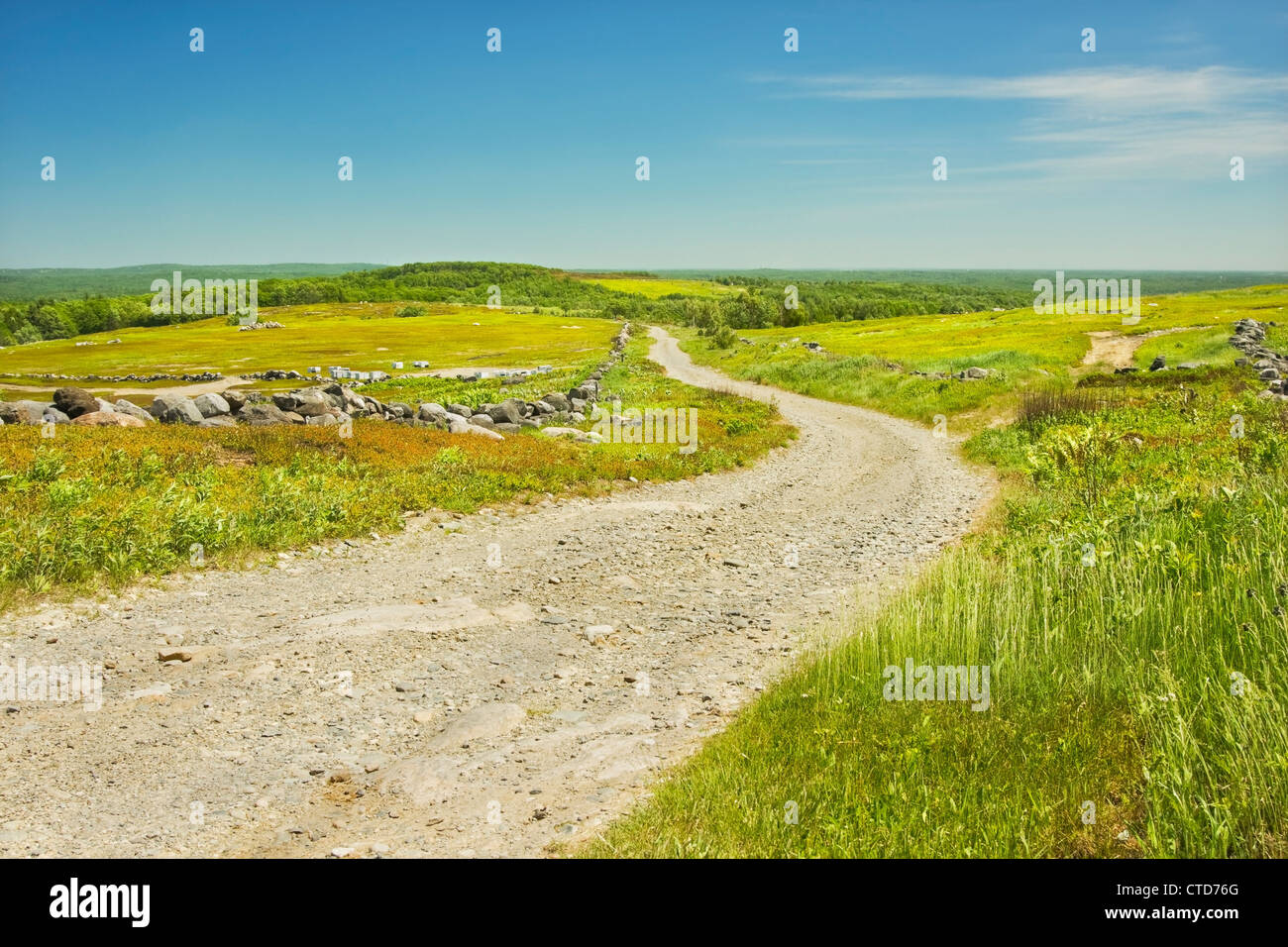 Feldweg durch große Heidelbeere Brachland in Maine. Stockfoto