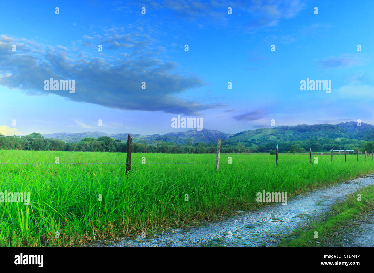 grüne Wiese und Bahn mit Zaun zu entfernten Hügeln auf blauen Himmelshintergrund Stockfoto