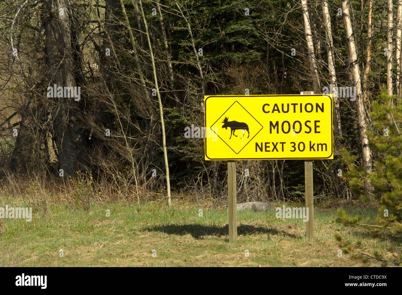 Achtung Elch Schild in Kanada Stockfoto