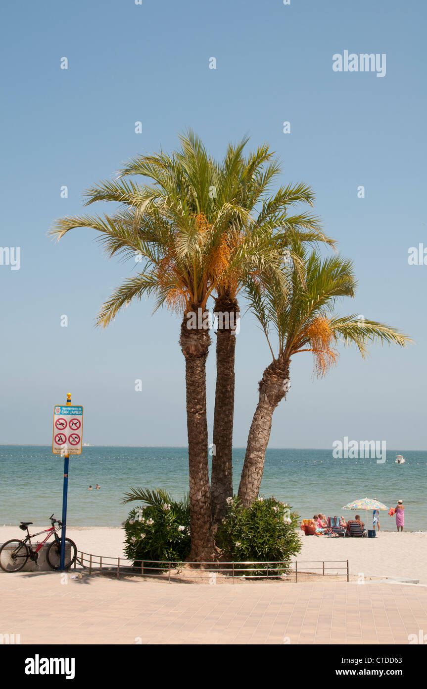 Playa de Colon Strand Santiago De La Ribera Süd-Spanien Stockfoto