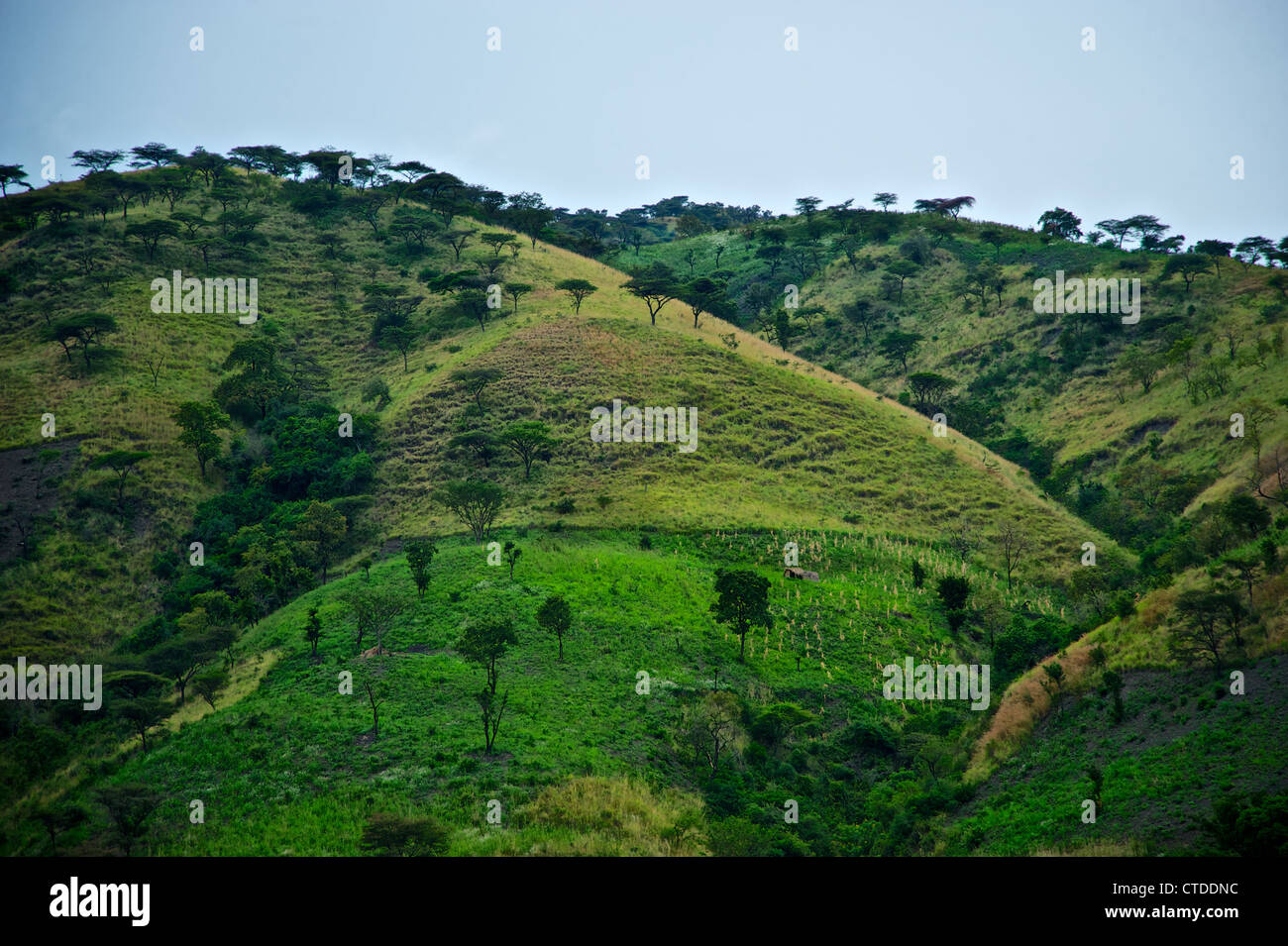 Kongolesen Landschaft, FARDC, Mushake, demokratische Republik Kongo Stockfoto