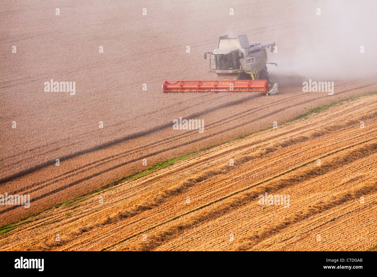 Ein Mähdrescher, ein Feld von Weizen Ernte Stockfoto