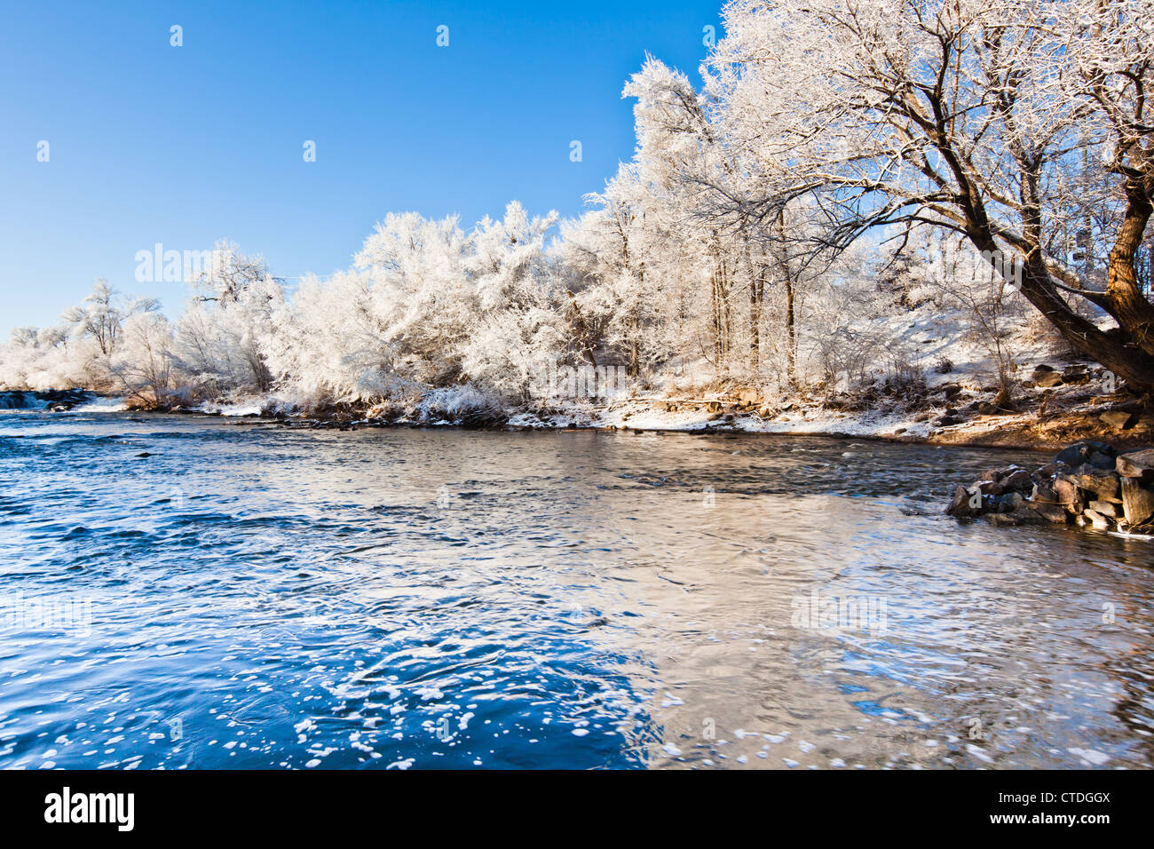 Bereifte Bäume Linie den South Platte River in Denver, Colorado an einem kalten Wintermorgen Stockfoto