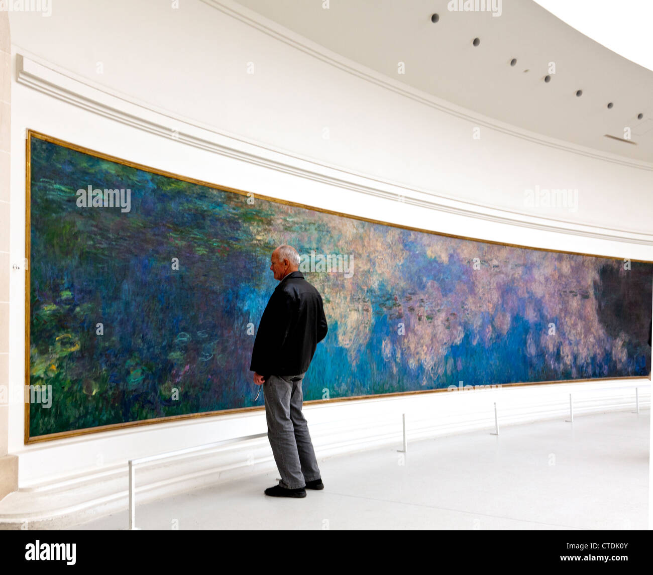 Mann, die Anzeige "Nympheas" (Monets Seerosen Wandmalereien) im Musee de l'Orangeries in Paris. Stockfoto