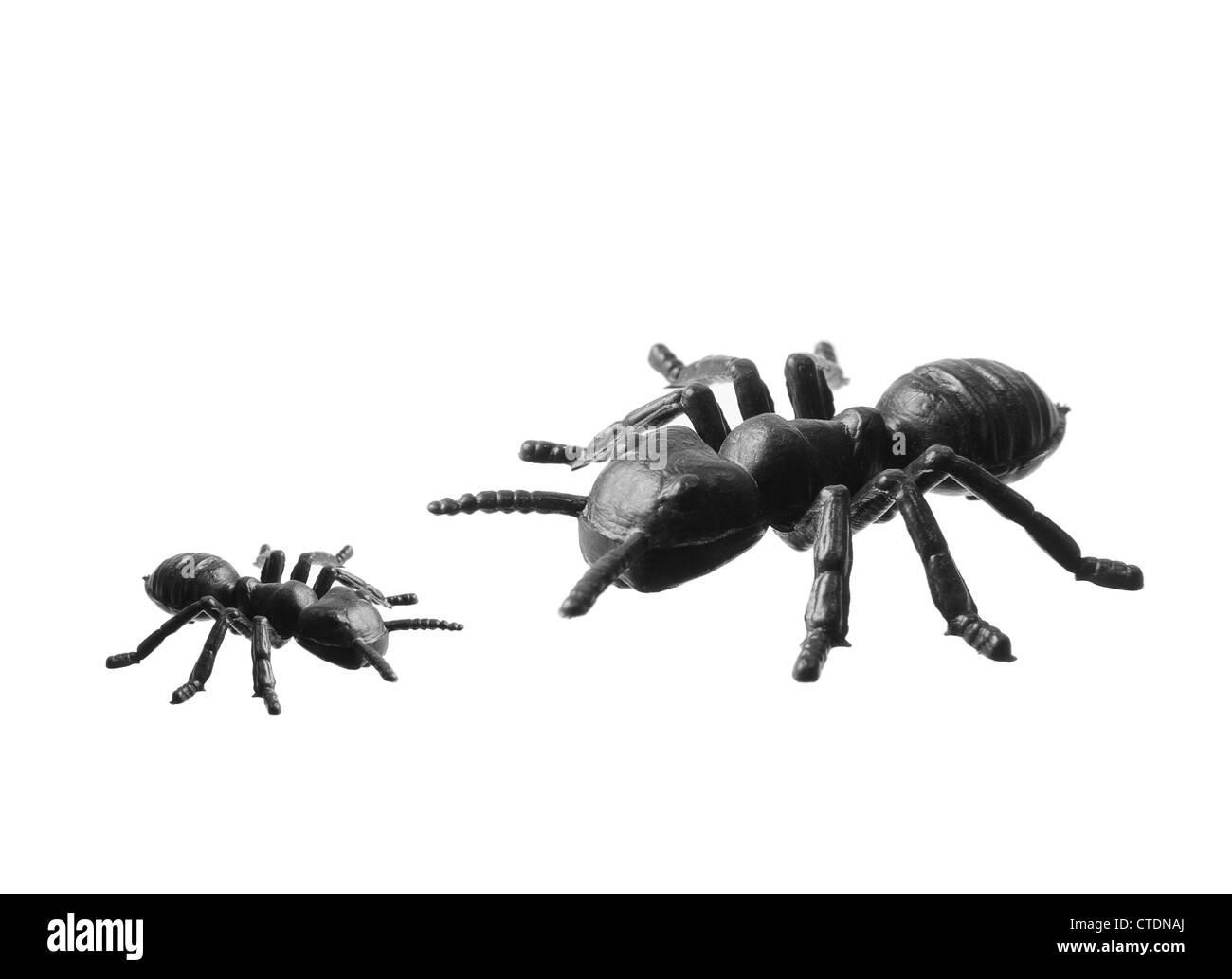 Spielzeug-Ameisen Stockfoto