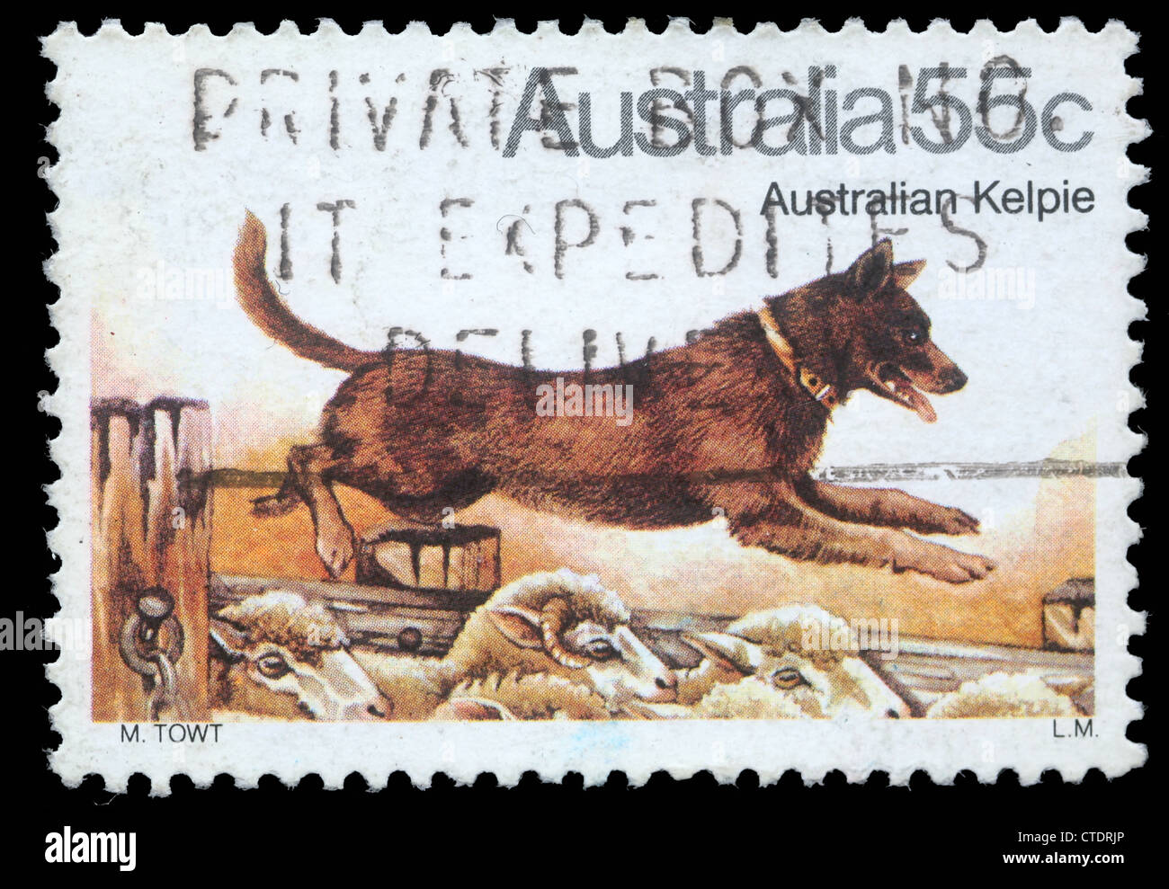 Australien - CIRCA 1980: Eine Briefmarke gedruckt in Australien zeigt Australian Kelpie-Dog, ca. 1980 Stockfoto