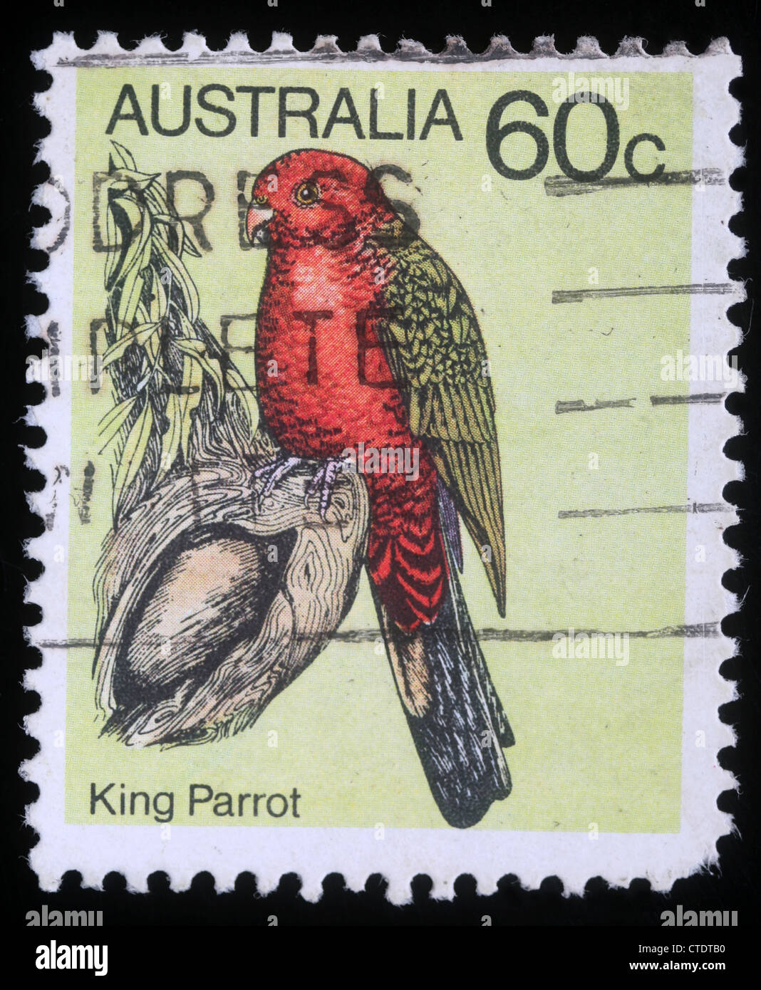 Australien - CIRCA 1978: A Stempel zeigt Bild von einem König Papagei aus der Serie "Australische Vögel", ca. 1978 Stockfoto