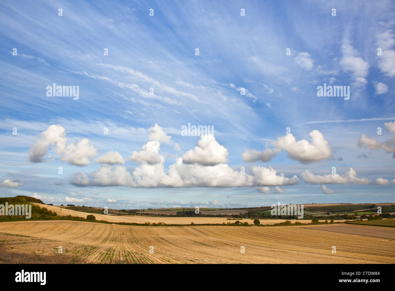 Blick auf abgeernteten Felder unter blauem Himmel mit weißen Wolken Stockfoto
