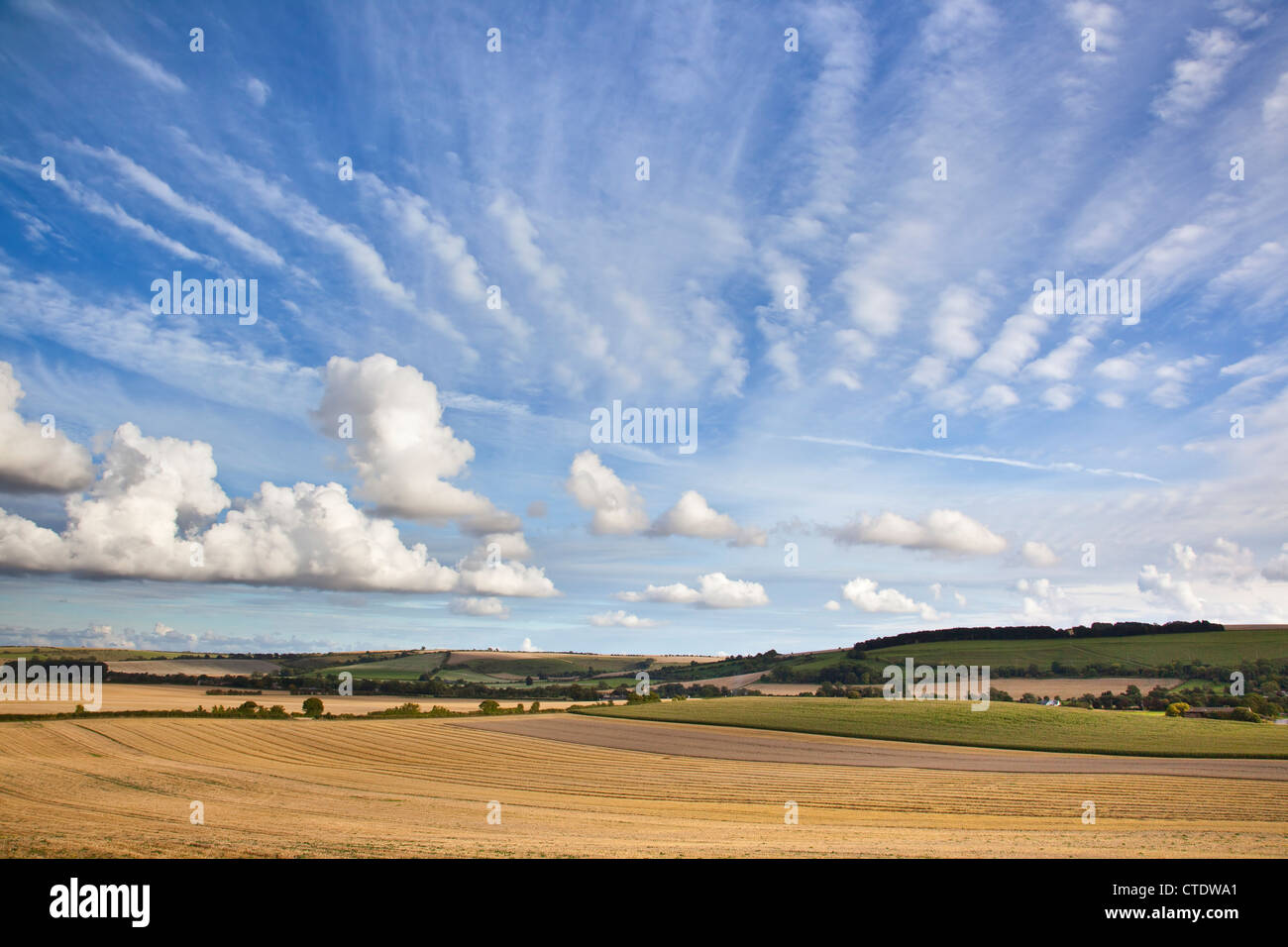 Blick auf abgeernteten Felder unter blauem Himmel mit weißen Wolken Stockfoto