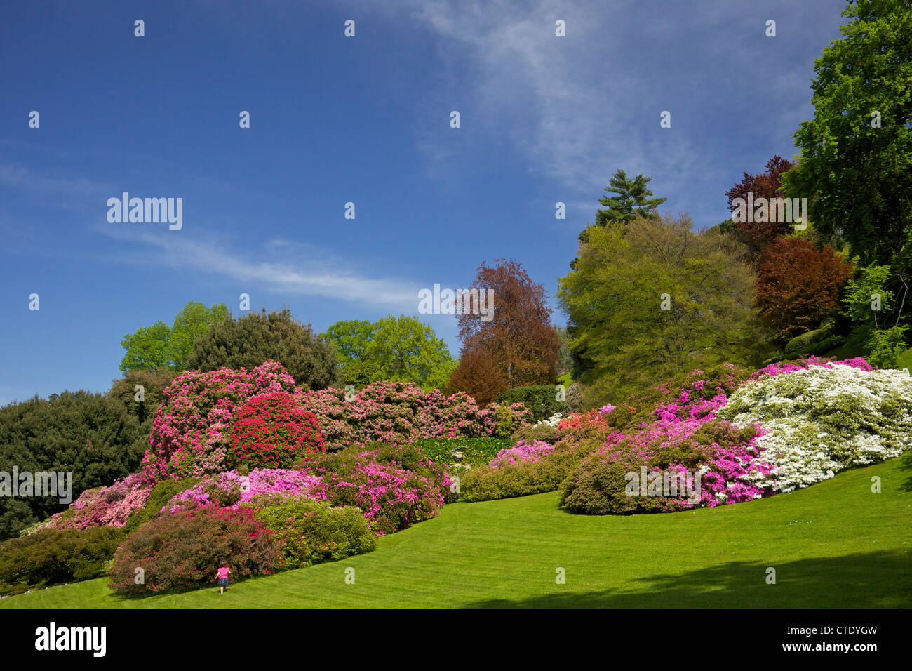 Gärten der Villa Melzi, Bellagio, Comer See, Italien, Europa Stockfoto