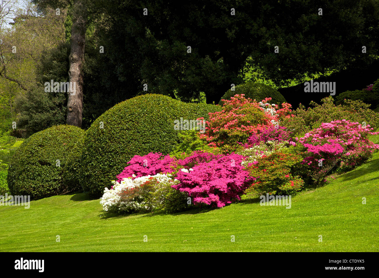 Gärten der Villa Melzi d ' Eril, Bellagio, Comer See, Italien, Europa Stockfoto