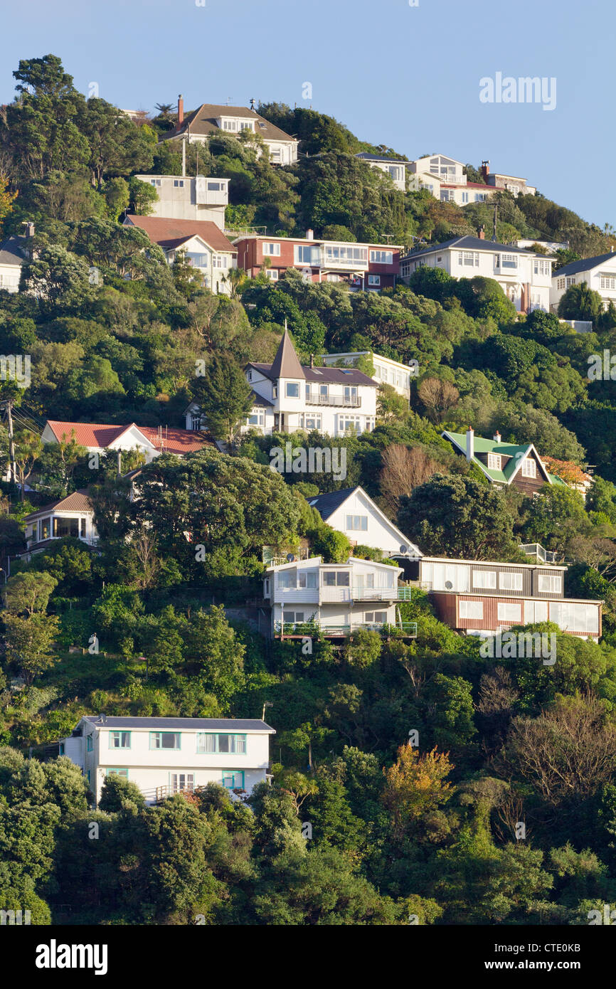 Häuser, klammerte sich an den Hang, Wellington Harbour, Neuseeland 4 Stockfoto