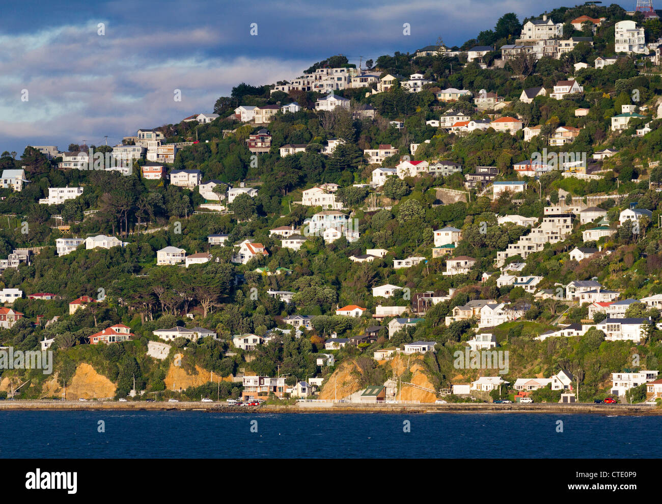 Häuser, klammerte sich an den Hang, Hafen von Wellington, Neuseeland Stockfoto