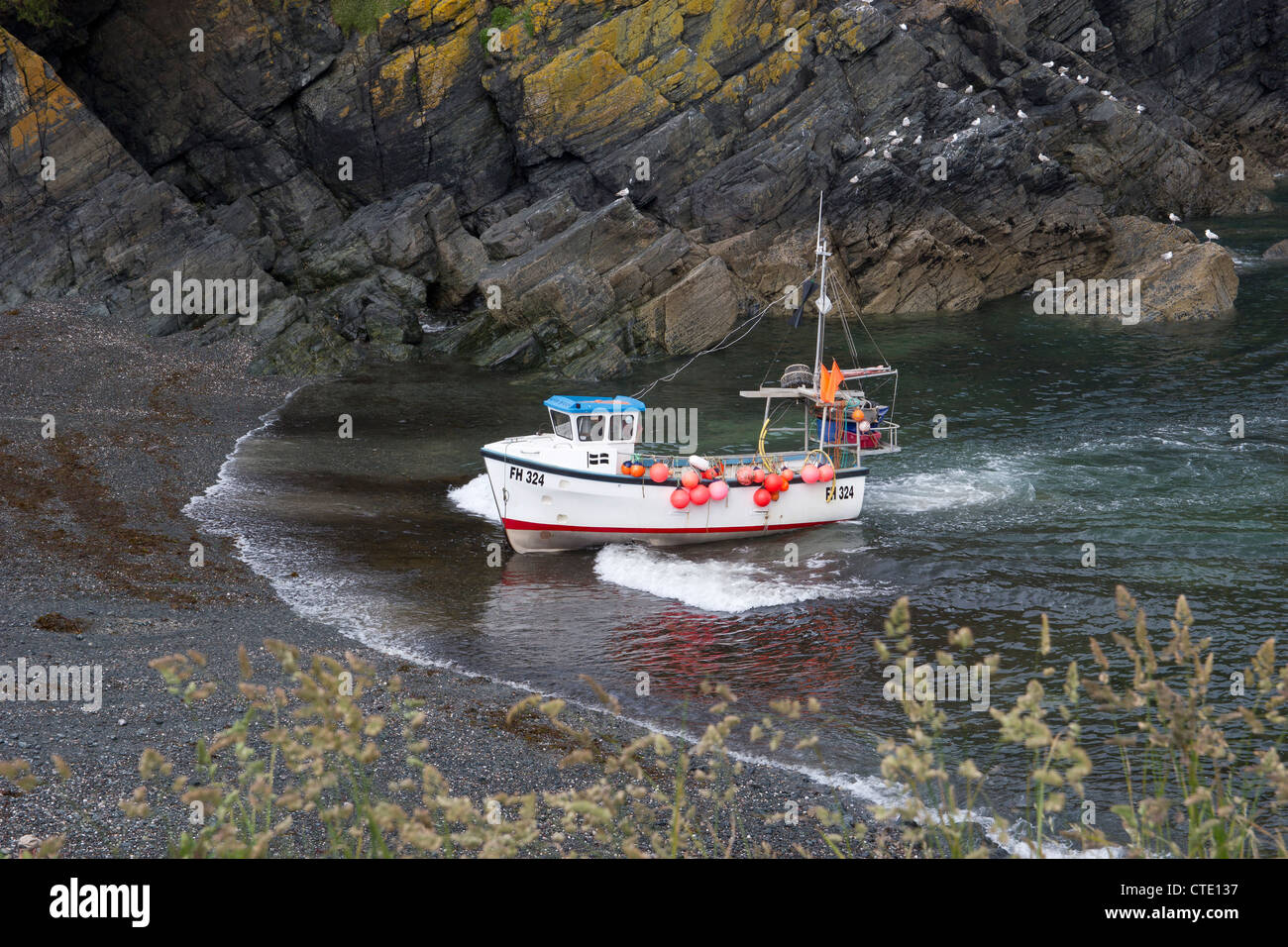 Cadgwith Cove Fischerboot Strandung Cornwall UK Stockfoto