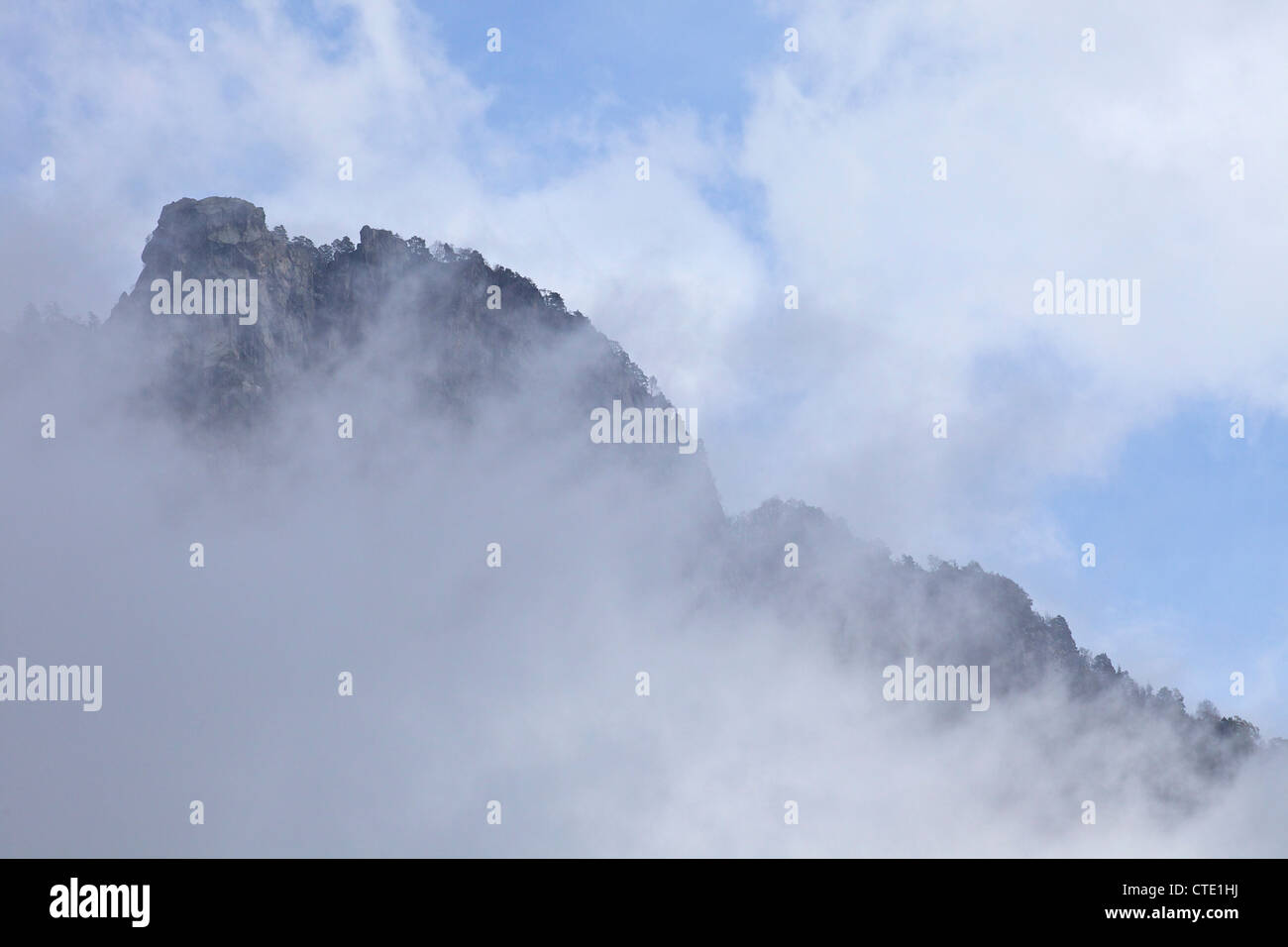 Wald und Klippen im Nebel, Engadiner Tal, Schweizer Alpen, Schweiz Europa Stockfoto