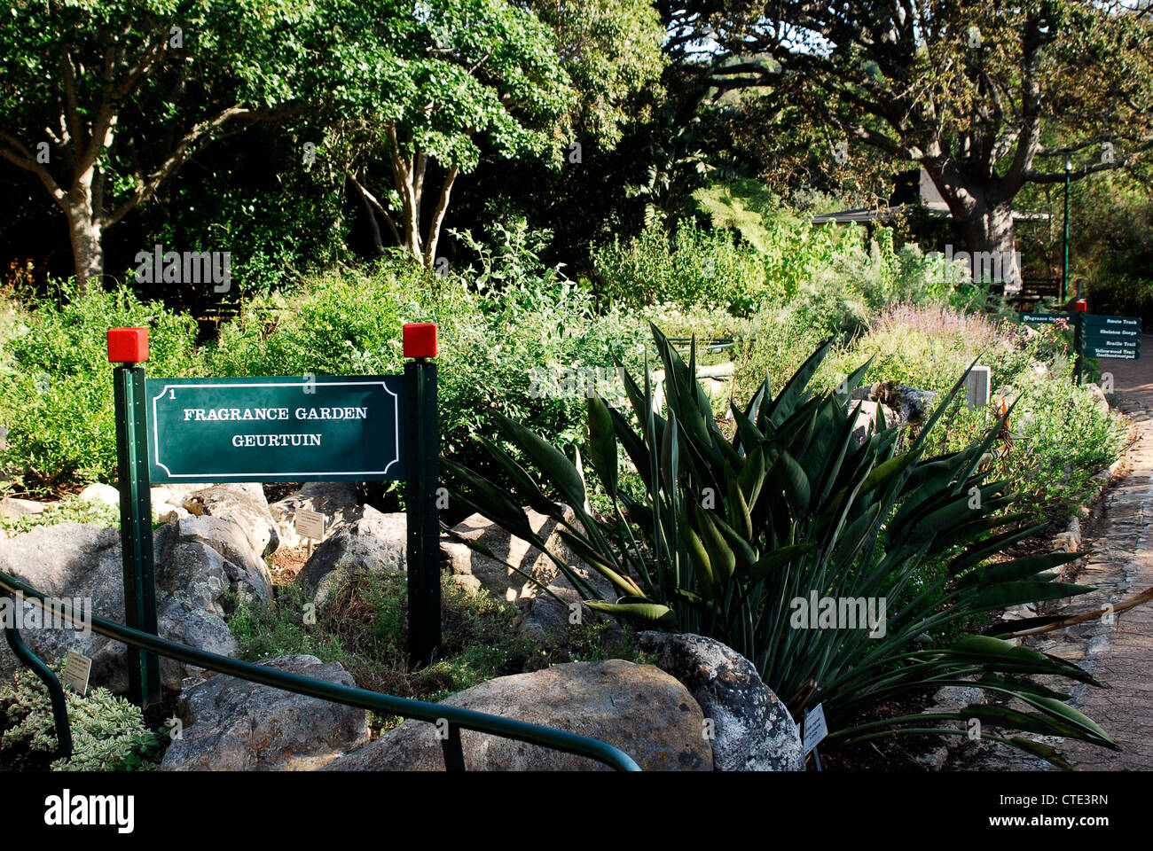 Kirstenbosch Botanical Gardens-Kapstadt Stockfoto